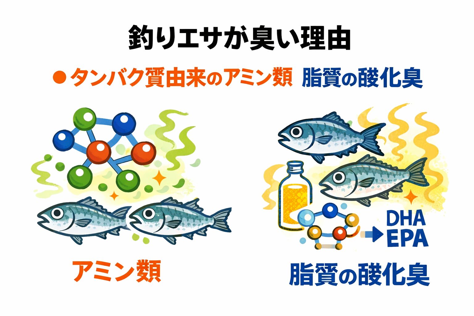 釣りエサが臭い理由は、・タンパク質由来のアミン類・脂質の酸化臭。釣太郎