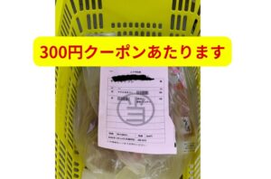 ネットからオキアミ解凍予約すれば300円クーポンが当たることがあります。釣太郎
