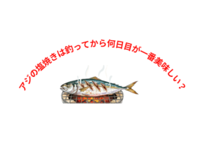 アジの塩焼きは「翌日〜2日目」が最強！熟成でうま味を最大化。釣太郎