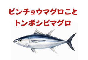 トンボ（ビンナガ）は、長いヒレで大海原を旅し、缶詰からお寿司まで、私たちの食生活を支えてくれる偉大な魚。釣太郎