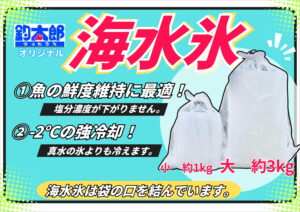 釣太郎の海水氷は、不純物のない綺麗な海水を汲み上げ、そのまま100％凍らせています。