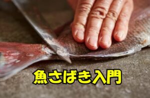 アジなら小さな包丁や家庭用の三徳包丁で十分対応できます。釣太郎