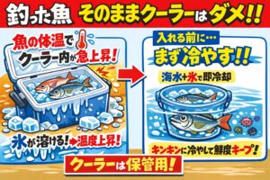 クーラーは「保管場所」であって「冷却装置」ではない。多くの釣り人が勘違いしています。釣太郎