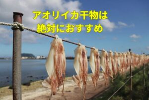 スルメイカの一夜干しを10回我慢してでも、アオリイカ干物を一度は食べるべき。釣太郎