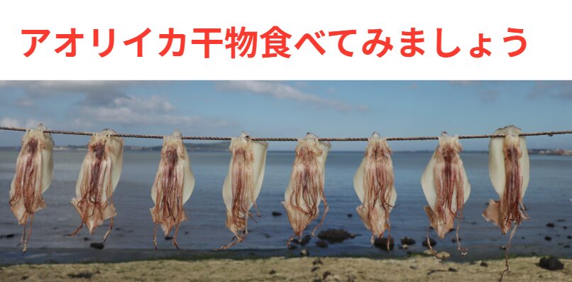 スルメイカとは、 味の設計図そのものが違うため、 まるで別物の美味しさになるアオリイカ干物は絶品。釣太郎