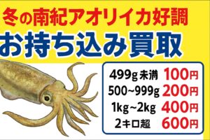 冬の南紀はアオリイカが好調で、釣り初心者からベテランまで楽しめる絶好のシーズン。 釣れたら、ぜひ気軽にお持ち込みください。釣太郎