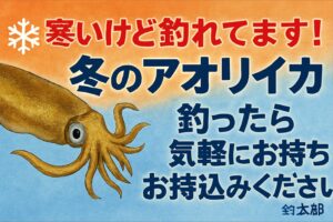 寒いけど釣れてます！冬の南紀アオリイカ｜釣ったら気軽にお持ち込みください。釣太郎