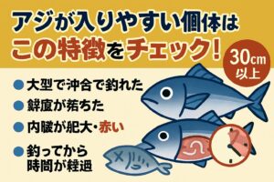 釣り人が意識すべきこと大型・沖合・鮮度低下の寒尺アジは要注意 。釣った直後に内臓除去＋冷却処理が最重要。釣太郎
