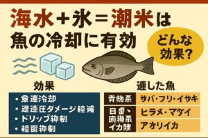 潮氷は「鮮度保持の即戦力」潮氷は、釣った魚を短時間で均一に冷却し、鮮度を守る最強の手段。特に夏場や大量釣果時には、クーラー内の温度管理に絶大な効果を発揮します。釣太郎