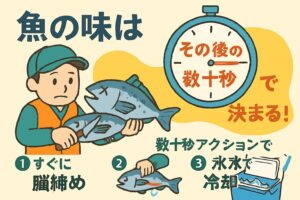 魚の味は釣った瞬間ではなく、その後の処理で決まるという事実。 この数十秒をどう使うかで、同じ魚でも全く異質なものとなる。釣太郎