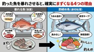 魚を暴れさせることは、品質劣化し味が落ちる。理由はATP消費（うまみ消失）乳酸蓄積（身質の劣化）うっ血（臭みと腐敗）体温上昇（身の変性）。釣太郎