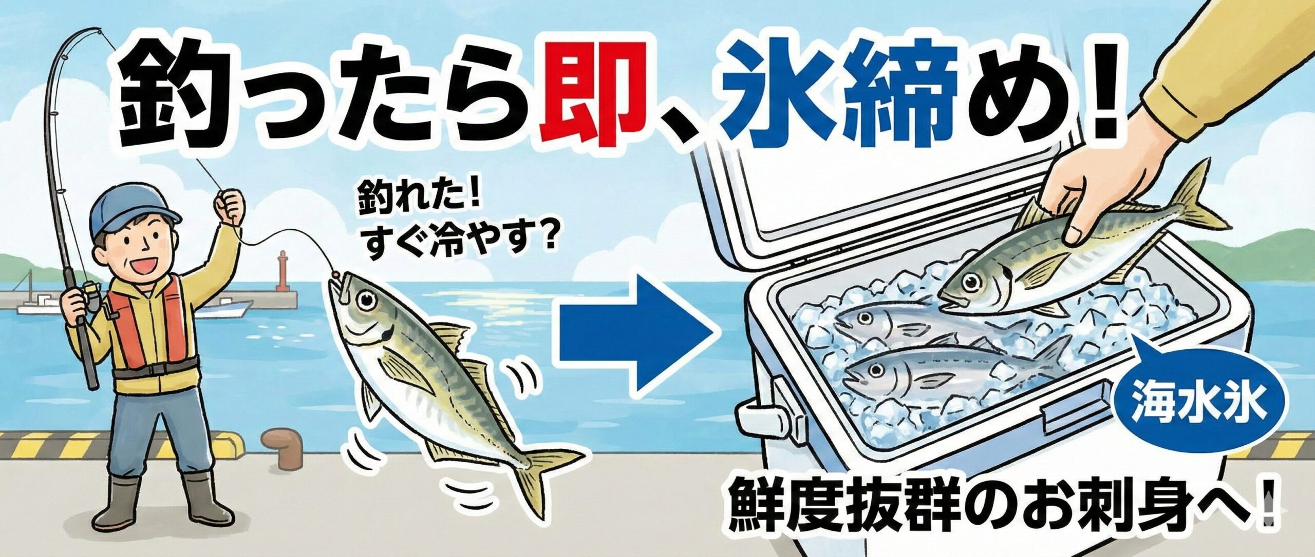 美味しいアジへの最短ルートは「海水氷」。アジの美味しさは、釣り上げてからクーラーボックスに入るまでの「スピード」で決まります。釣太郎