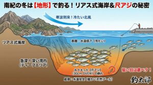 「寒いから釣れない」は、南紀には当てはまりません。リアス式海岸という最高の地形が、大型アジを岸近くまで連れてきてくれます。釣太郎