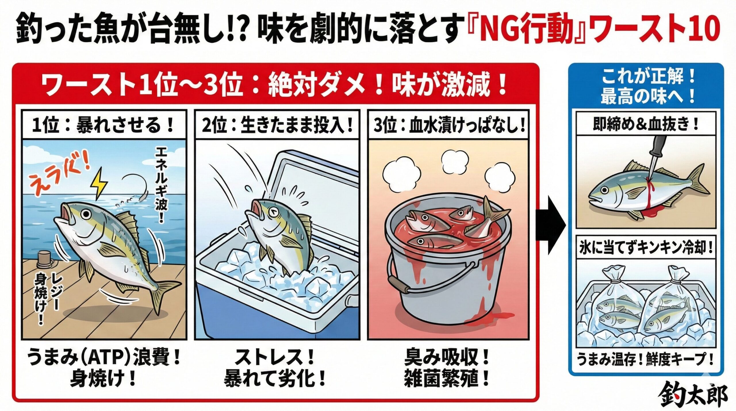 釣り魚を不味くする原因は、ほとんどが「温度管理」と「締め方」のミス。暴れさせずに即締める。真水や氷に直接当てない。キンキンに冷やして持ち帰る。釣太郎