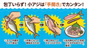 サイズに合わせた食べ方で、アジを余すことなく楽しもう.釣太郎