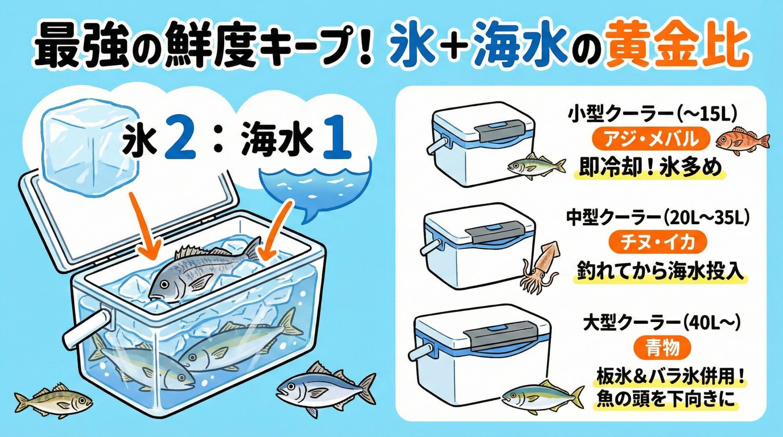 クーラボックス内の最高ベストコンディションは基本の黄金比は「氷 2 ： 海水 1」です。釣太郎