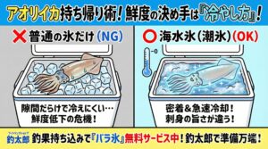 【アオリイカの持ち帰り】普通氷と海水氷決定的な違いは「冷却スピード」と「熱伝導率」釣太郎