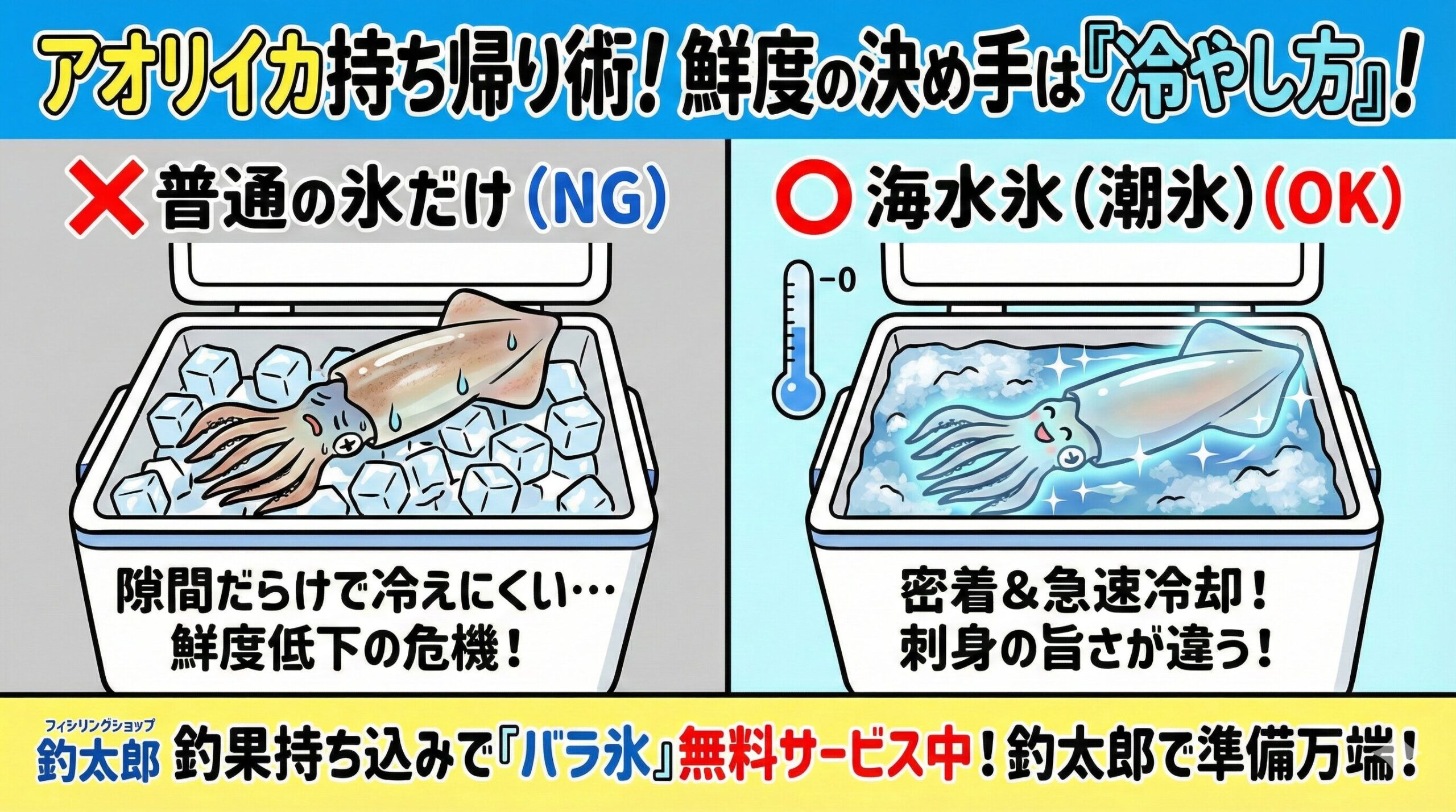 【アオリイカの持ち帰り】普通氷と海水氷決定的な違いは「冷却スピード」と「熱伝導率」釣太郎