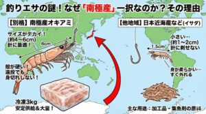 オキアミは針に刺さるサイズ」 「遠投できる硬さ」 「魚が狂う旨味」 これら全てを兼ね備えた、まさに自然が生んだ奇跡のエサ。釣太郎