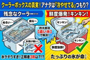 クーラーボックス持参率は9割でも「正しく冷やせている人」は3割以下？釣太郎が教える保冷の真実