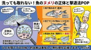 ヌメリを取れば、魚はもっと旨くなる。「釣った魚は臭い」と思っているなら、それは魚のせいではなく、ヌメリのせいかもしれません。釣太郎