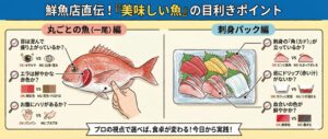 鮮魚店はココを見る！プロが教える「美味しい魚」の目利きポイントと刺身パックの選び方。釣太郎