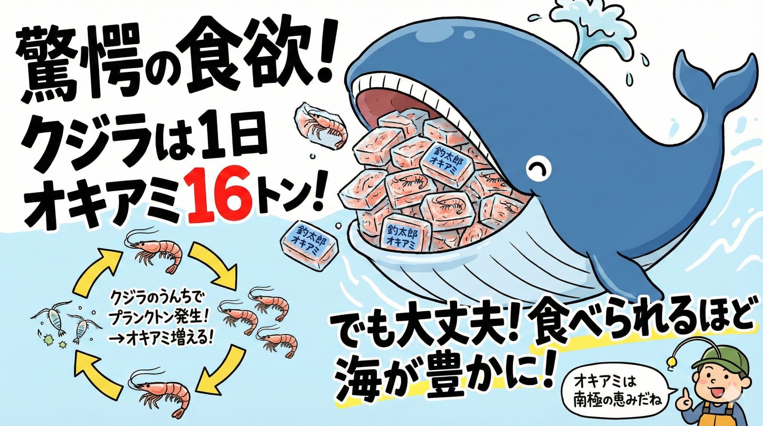 大型のクジラはひと飲みで約90トンの水とオキアミを口に含む.釣太郎