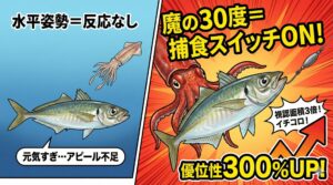 冬のアオリイカ捕食スイッチは「角度」で入る！釣果300%UPを叩き出す『魔の30度』釣太郎