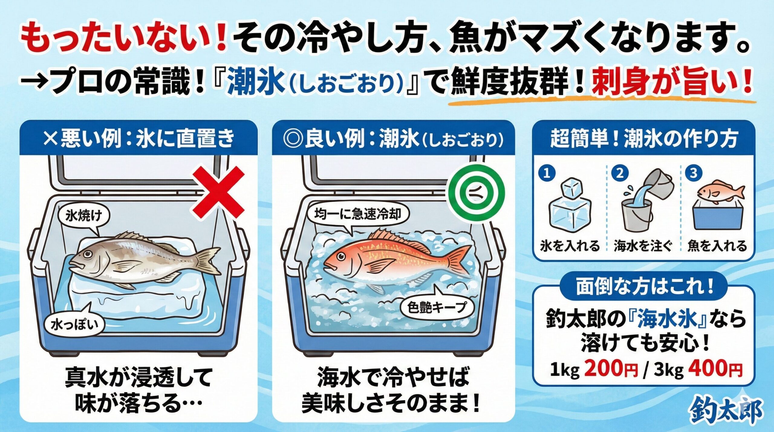 初心者が最初に直すべきクーラー管理の習慣は、**「魚を氷に直置きしないこと」釣太郎