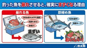 釣った魚を暴れさせることは、自ら「うまみ」を捨てているのと同じ。ATP（うまみの元）の浪費を防ぐ。乳酸の蓄積と身焼けを防ぐ。内部出血による臭みを防ぐ。釣太郎