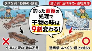 アオリイカ、「釣った直後の処理で味が9割変わる」。 これは決して大袈裟な話ではありません。釣太郎