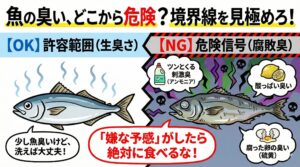 魚の臭いの境界線は、「魚本来の匂いが強くなっただけ」か、「明らかに別の物質（アンモニアや酸）の匂いがするか」にあります。釣太郎