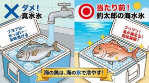 海で釣れた魚は、海の氷で冷やす。 この当たり前を実践するだけで、釣果の価値は何倍にも跳ね上がる。釣太郎