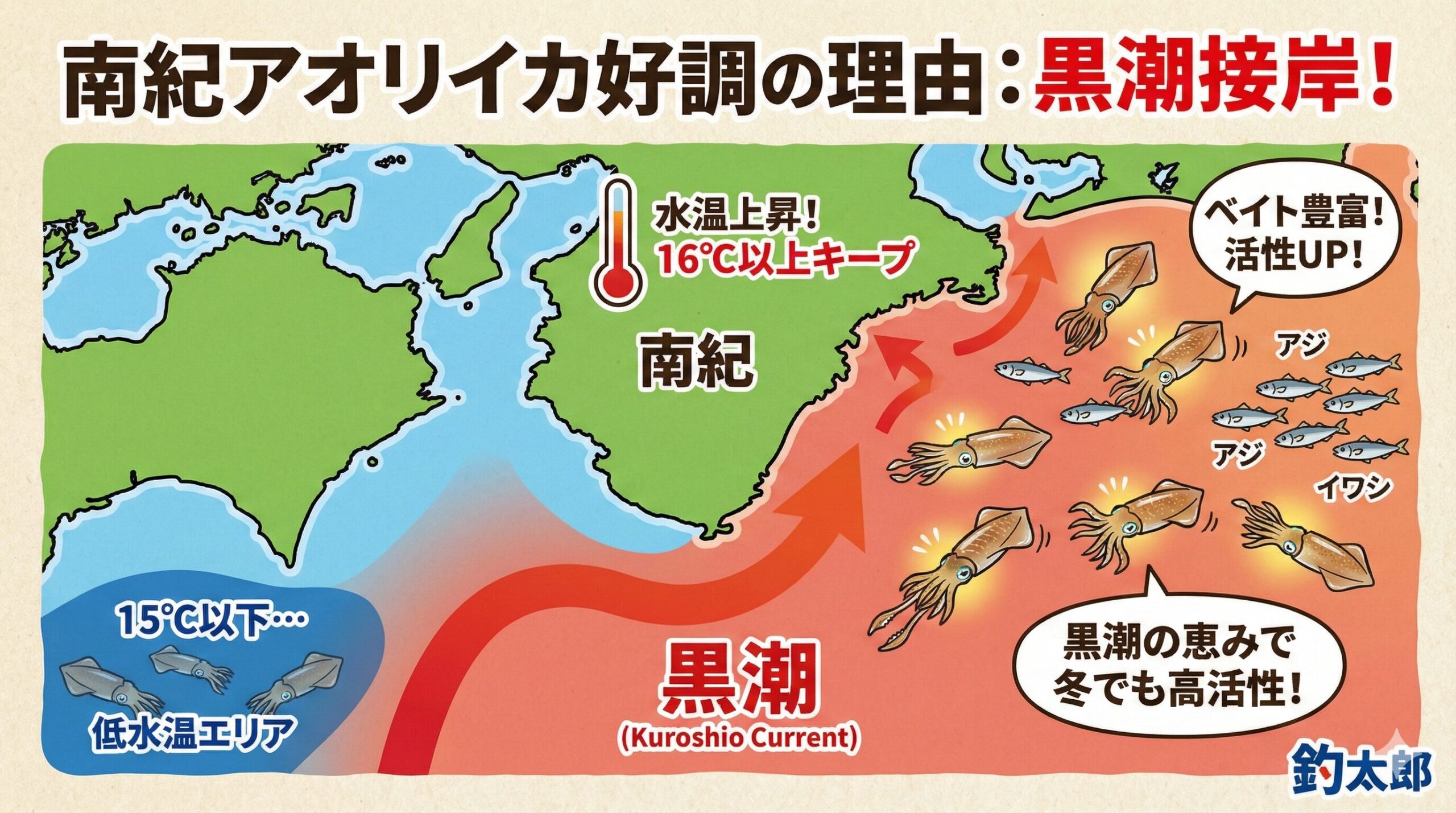 アオリイカ釣り、1月下旬の好調は、黒潮の接近による水温維持が大きく関係していると言えます。釣太郎