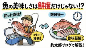 「魚は鮮度が良ければ美味しい」は半分ウソ。正しくは「鮮度が良い魚は食感を楽しみ、時間を置いた魚は旨味を楽しむ」釣太郎