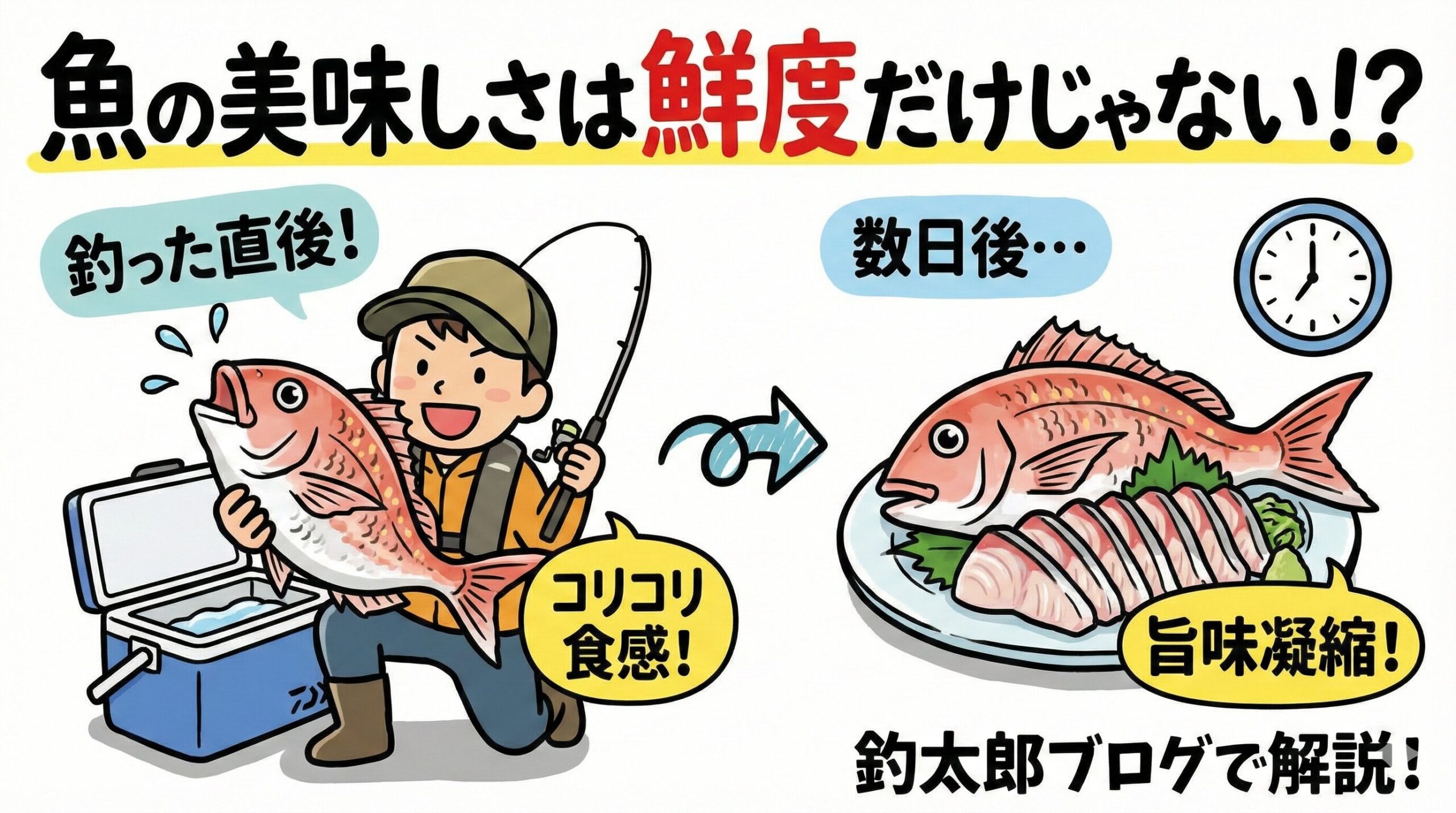 「魚は鮮度が良ければ美味しい」は半分ウソ。正しくは「鮮度が良い魚は食感を楽しみ、時間を置いた魚は旨味を楽しむ」釣太郎