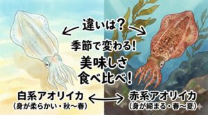 超大型は赤系は 釣り雑誌やSNSで見る「3kgオーバー」「4kgオーバー」の衝撃的な釣果写真。 釣太郎