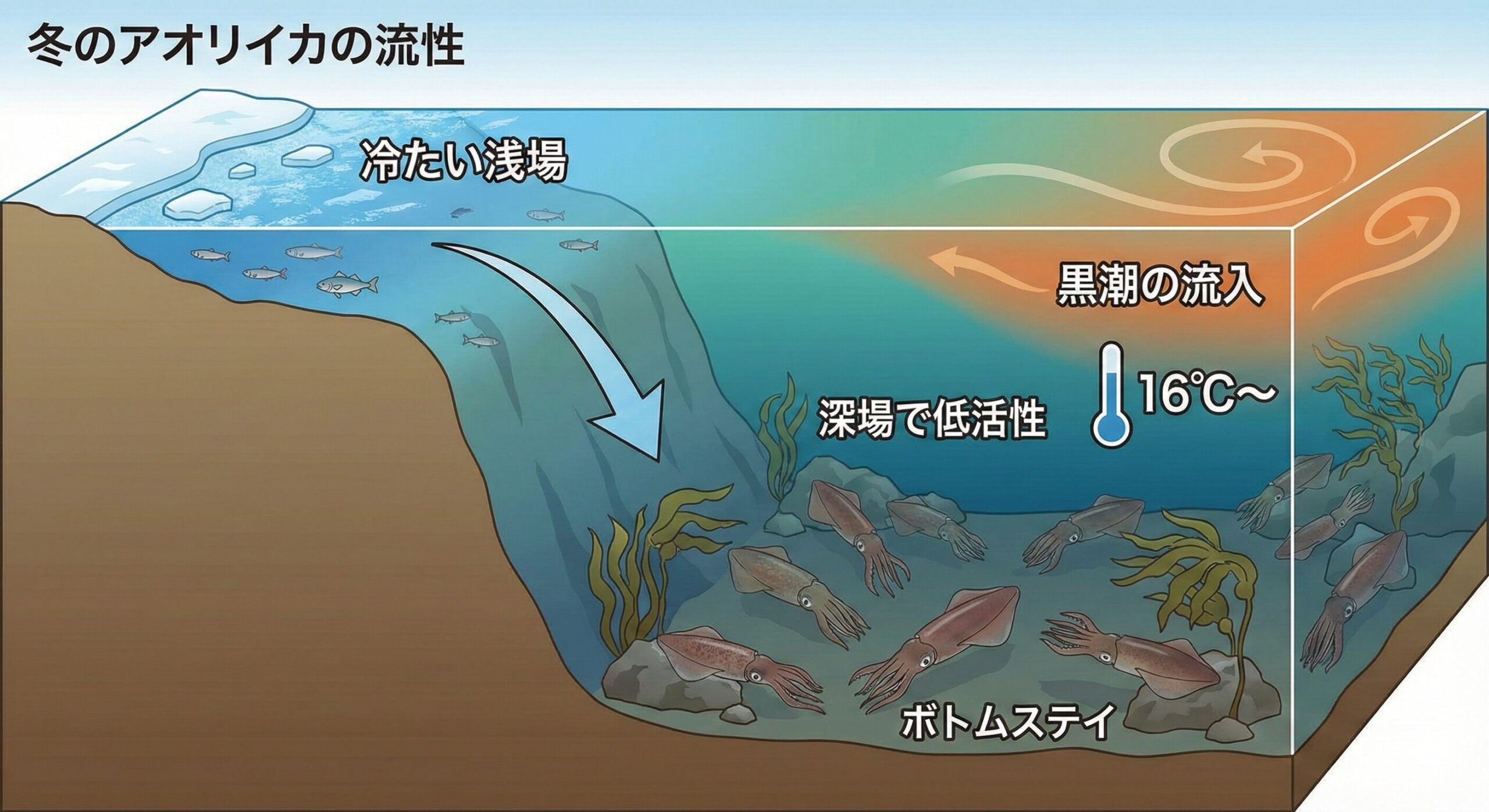 【冬季アオリイカ】なぜ南紀地方だけ釣れる？冬の行動パターンと攻略の鍵を徹底解説.釣太郎