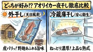 アオリイカのひもの、「パリッとした皮目の香ばしさ」を求めるなら外干し、「ねっとりとした均一な熟成」を求めるなら冷蔵庫干し。釣太郎