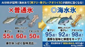 寒グレ、寒アジ、アオリイカ、冷却を普通凝りから海水氷に変えるだけで確実に美味しくなります。釣太郎
