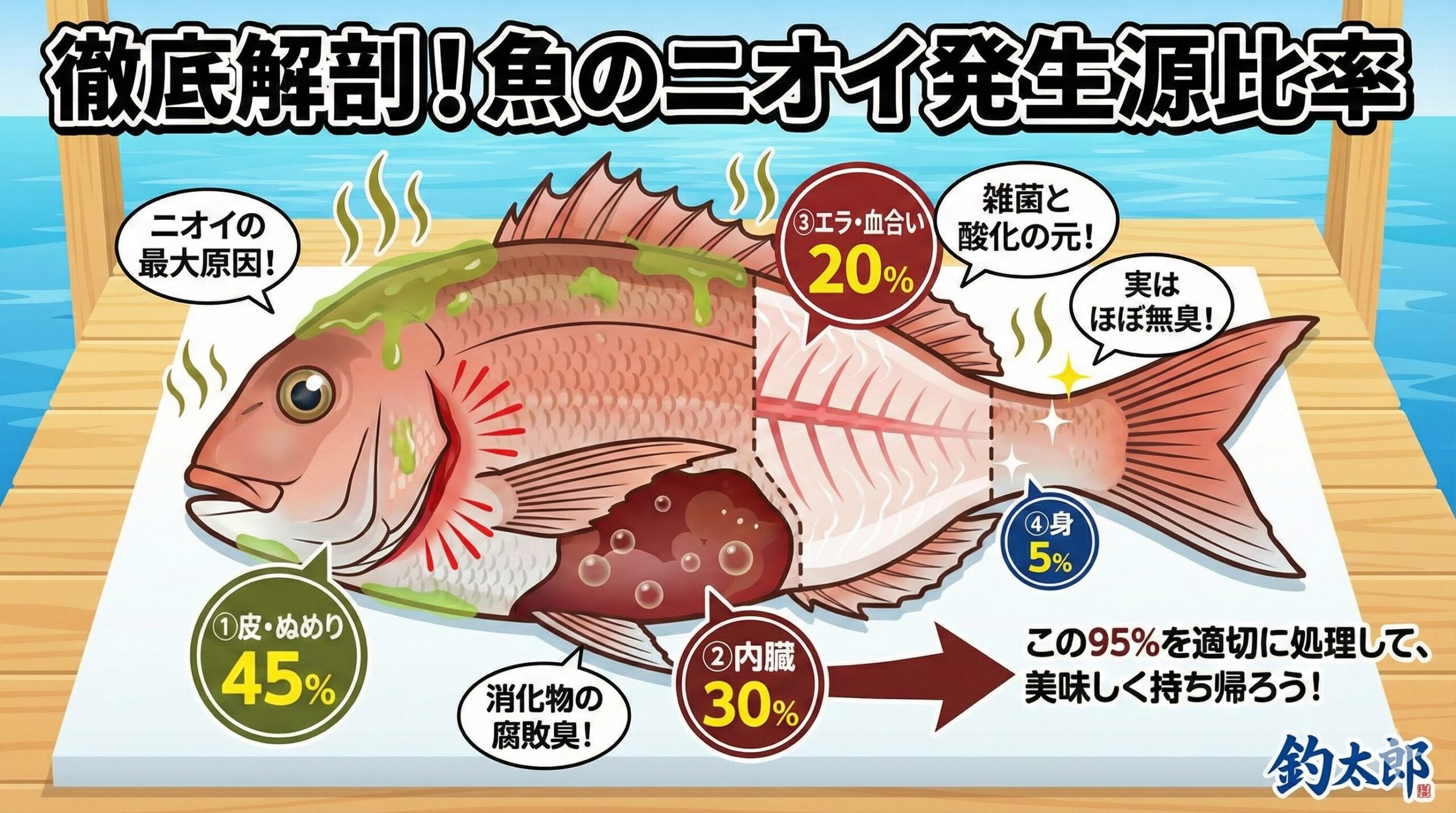 魚の臭いの正体は、皮・ぬめり45％、内臓30％、エラ・血20％。 釣太郎