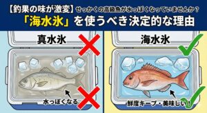 【釣果の味が激変】せっかくの高級魚が水っぽくなっていませんか？「海水氷」を使うべき決定的な理由.釣太郎