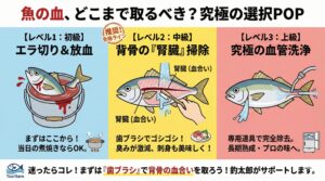 魚の血、当日の塩焼き・煮付け： エラを切って血を出すだけで十分。数日寝かせたい・刺身で食べたい： 背骨の「腎臓」を歯ブラシで完璧に取る。釣太郎