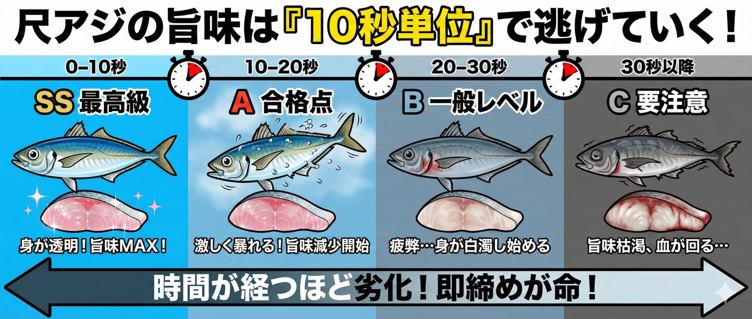尺アジの旨味は「10秒単位」で逃げていく！釣った瞬間のカウントダウンと品質変化の真実。釣太郎