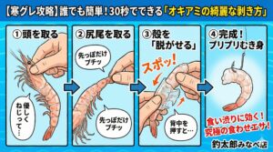 【寒グレ釣り入門】30秒で完成！「オキアミのむき身」の綺麗な作り方｜食い渋り攻略の最終奥義.釣太郎
