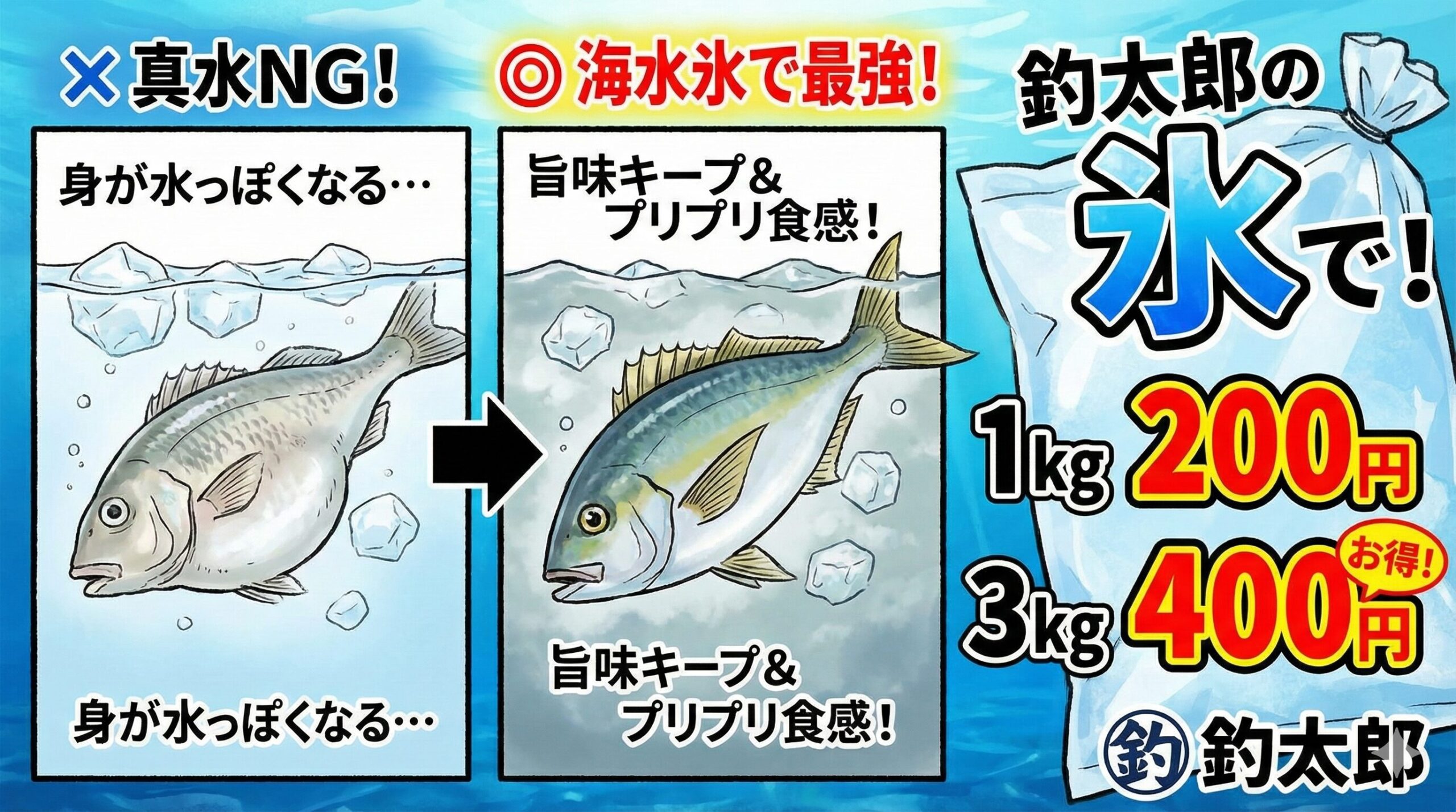 真水氷は解けると、真水が魚の身の中にどんどん入り込み、逆に魚の持つ旨味成分や栄養が外に流れ出してしまう。釣太郎