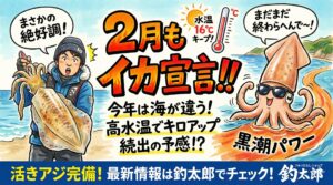 2月はアオリイカ釣れないからオフシーズンと決めつけるのは、今年の南紀においては非常にもったいない判断.釣太郎