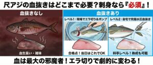 尺アジは、血さえ抜けば高級魚「シマアジ」にも負けない旨味を持っています。釣太郎