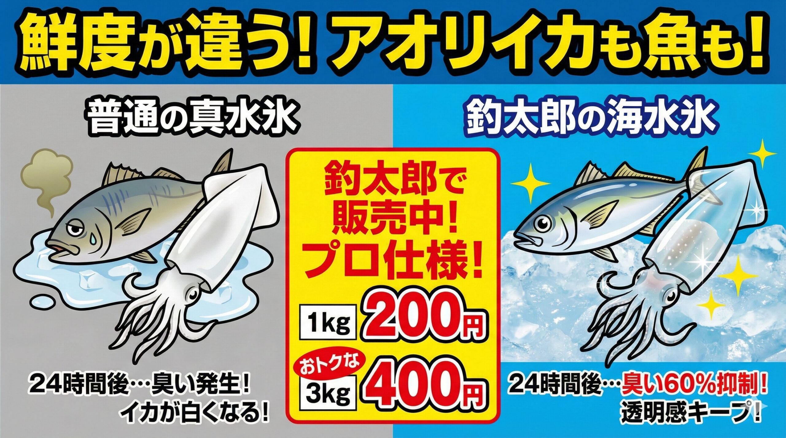 海水氷れ冷却すれば魚、アオリイカの24時間後60%以上臭い抑制。釣太郎