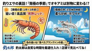 南極の沖アミは、「赤くて硬い＝夏（旬）のオキアミ」 「白くて柔らかい＝冬（オフ）のオキアミ」釣太郎